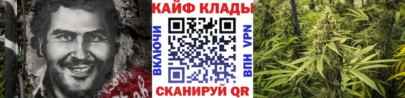 Купить закладку Alpha PVP  Конопля  МЕФ  ГАШИШ  Тырныауз