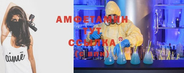 сатива Гусиноозёрск