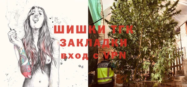 сатива Гусиноозёрск