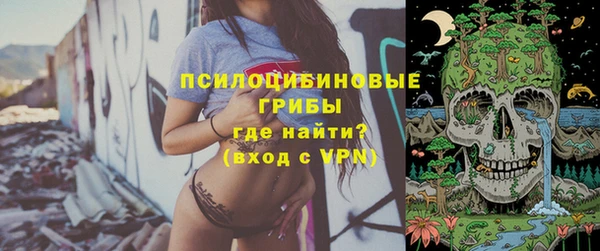 сатива Гусиноозёрск