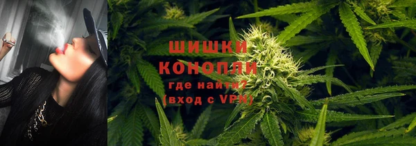 сатива Гусиноозёрск