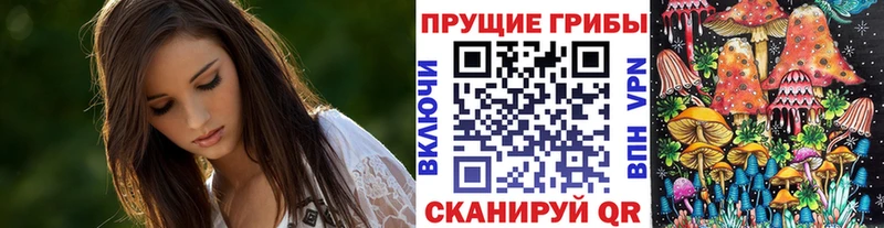 Купить закладки  Тырныауз  Галлюциногенные грибы ЛСД 